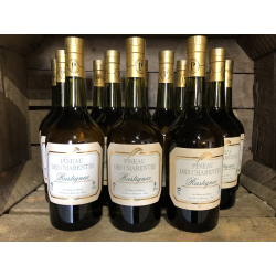 Pineau Des Charentes Rastignac Blanc Jeune, 75 cl