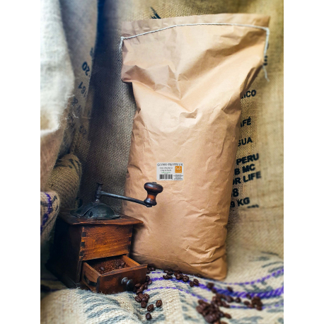 GLOBE TROTTEUR 100% ARABICA BIO ET EQUITABLE