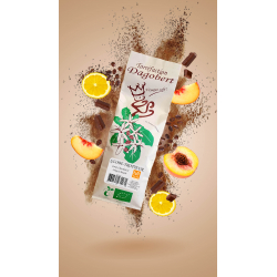 GLOBE TROTTEUR 100% ARABICA BIO ET EQUITABLE