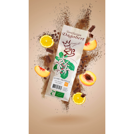 GLOBE TROTTEUR 100% ARABICA BIO ET EQUITABLE
