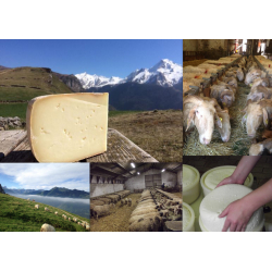 Fromage de Brebis de la Vallée d'Ossau 