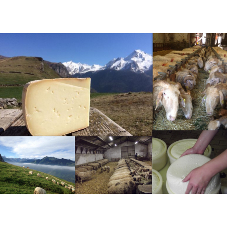 Fromage de Brebis de la Vallée d'Ossau 