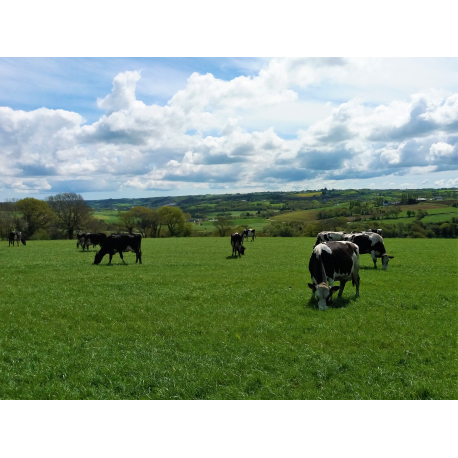 Lait cru de la vallée du Névet