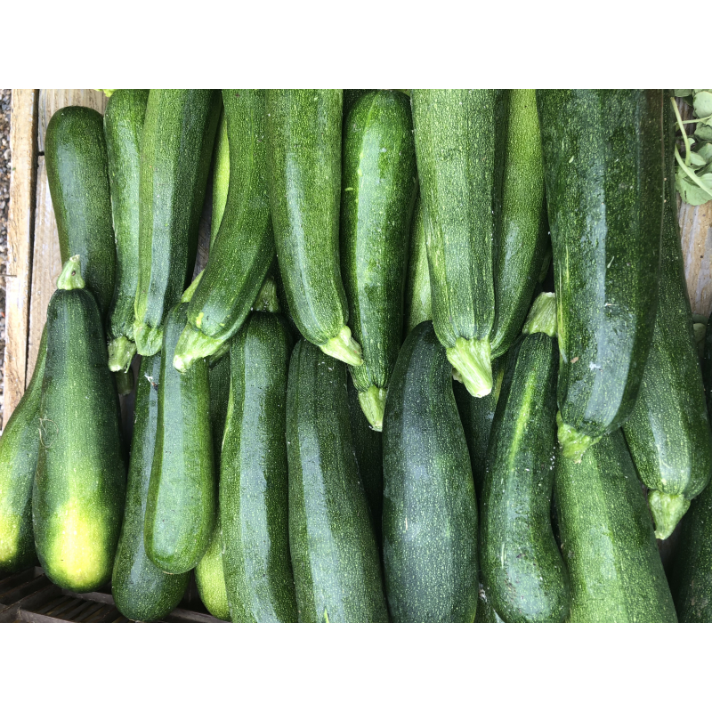 balenciaga jaune et verte