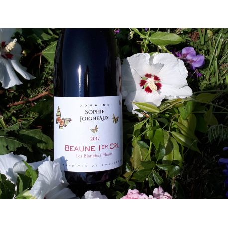 AOP Beaune 1er cru 