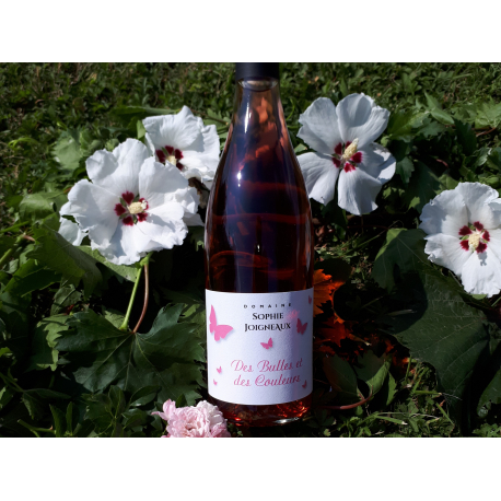 IGP Sainte-Marie-la-Blanche rosé