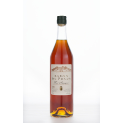 Armagnac Millésimé 1982 -42° 2,50L 