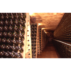 Montagnieu brut AOC Bugey