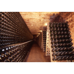 Montagnieu brut AOC Bugey
