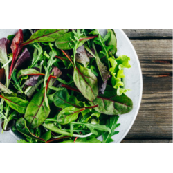 Mesclun (Crêtois, Roquette ou Asiatique) AB