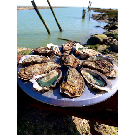 48 Huîtres Fines Charente-Maritime N°2