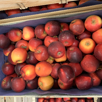 Prénom du producteur